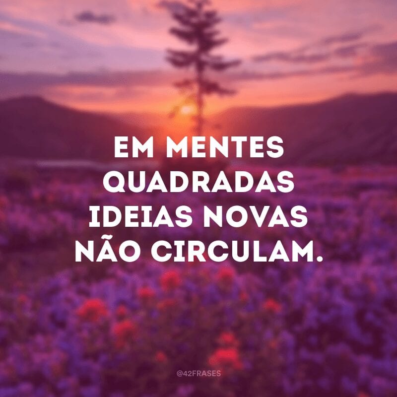 Em mentes quadradas ideias novas não circulam. 