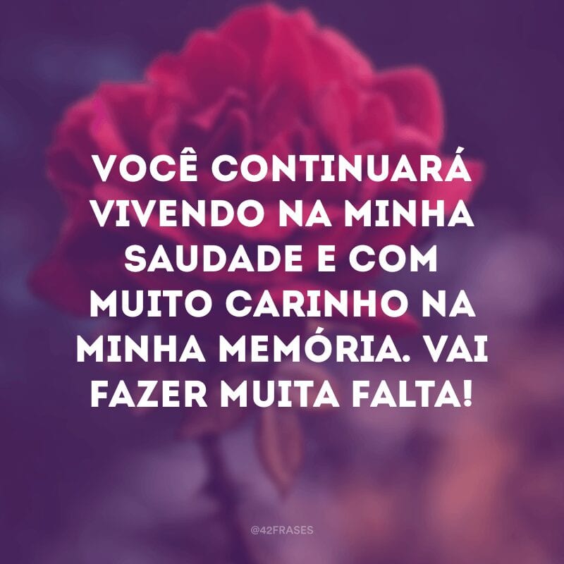 Você continuará vivendo na minha saudade e com muito carinho na minha memória. Vai fazer muita falta!