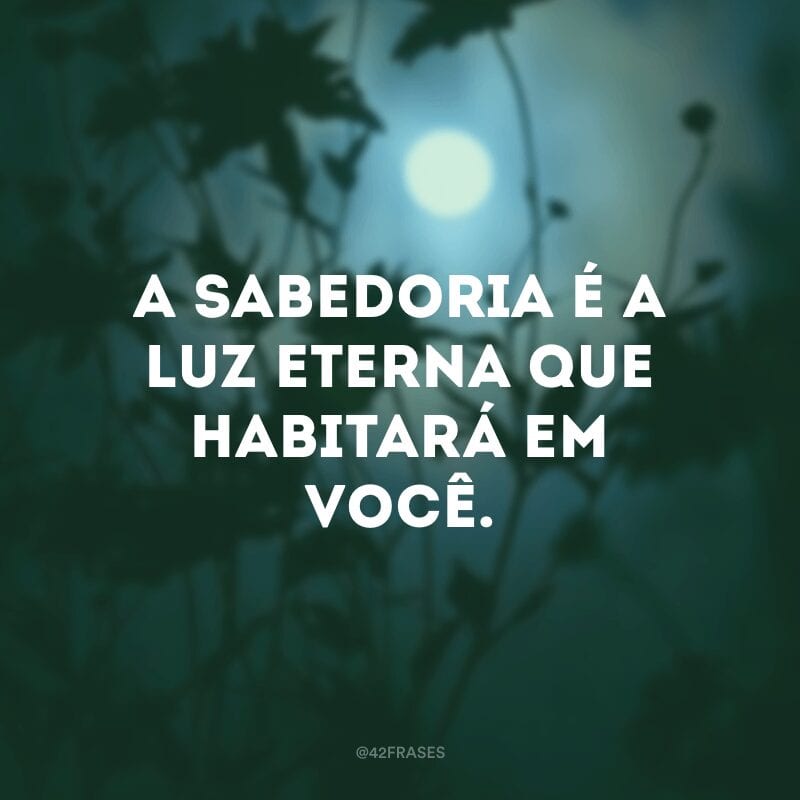 A sabedoria é a luz eterna que habitará em você.