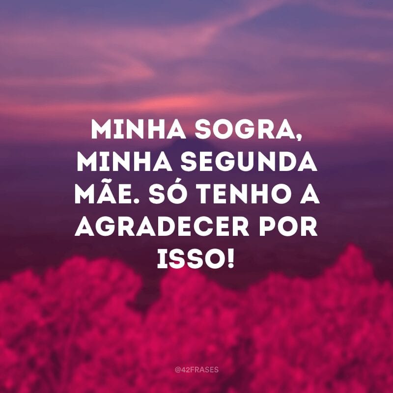 Minha sogra, minha segunda mãe. Só tenho a agradecer por isso!