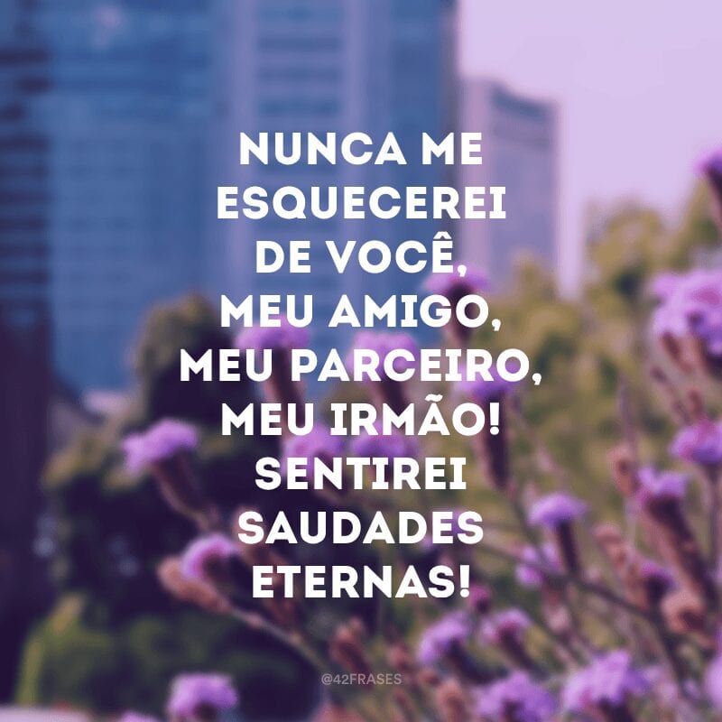 Nunca me esquecerei de você, meu amigo, meu parceiro, meu irmão! Sentirei saudades eternas!