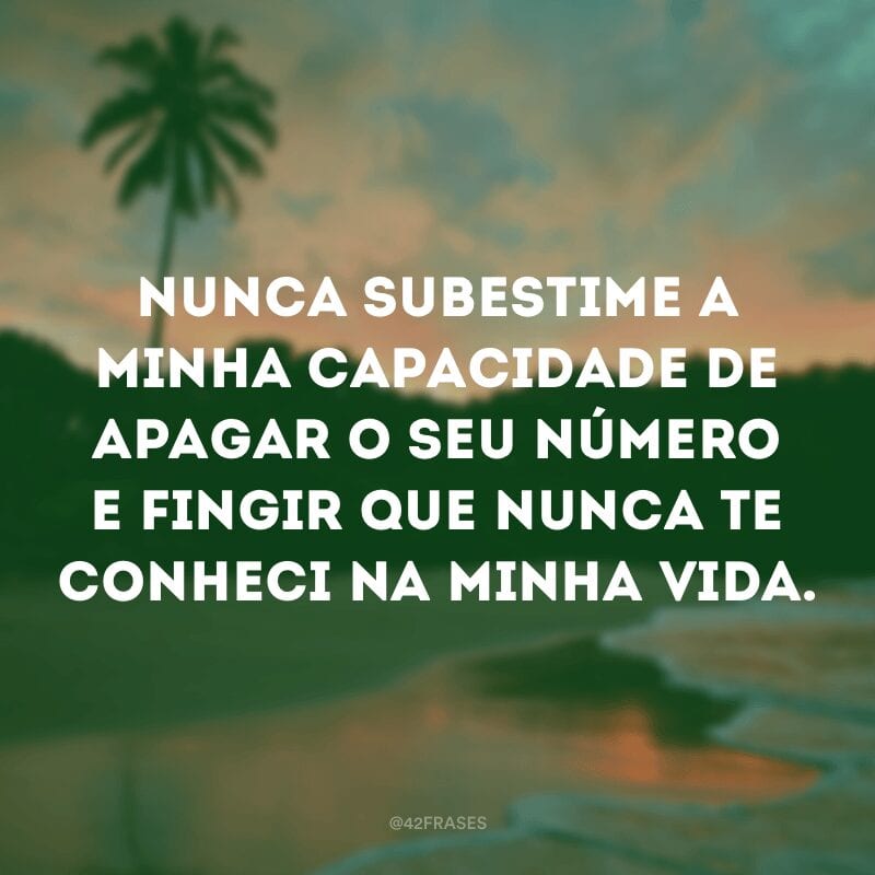 Nunca subestime a minha capacidade de apagar o seu número e fingir que nunca te conheci na minha vida.