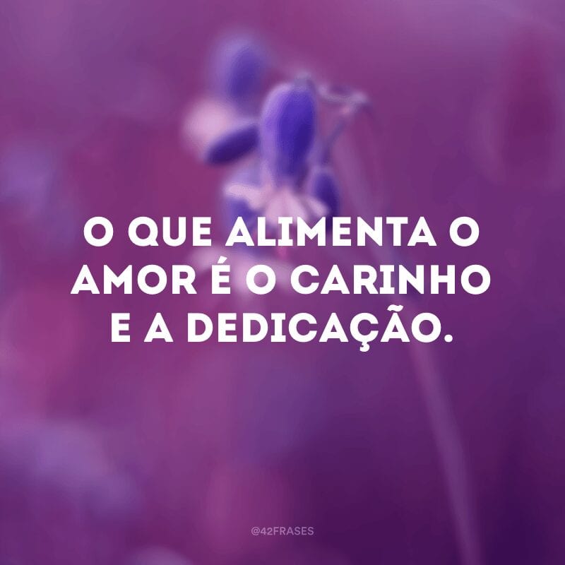 O que alimenta o amor é o carinho e a dedicação. 