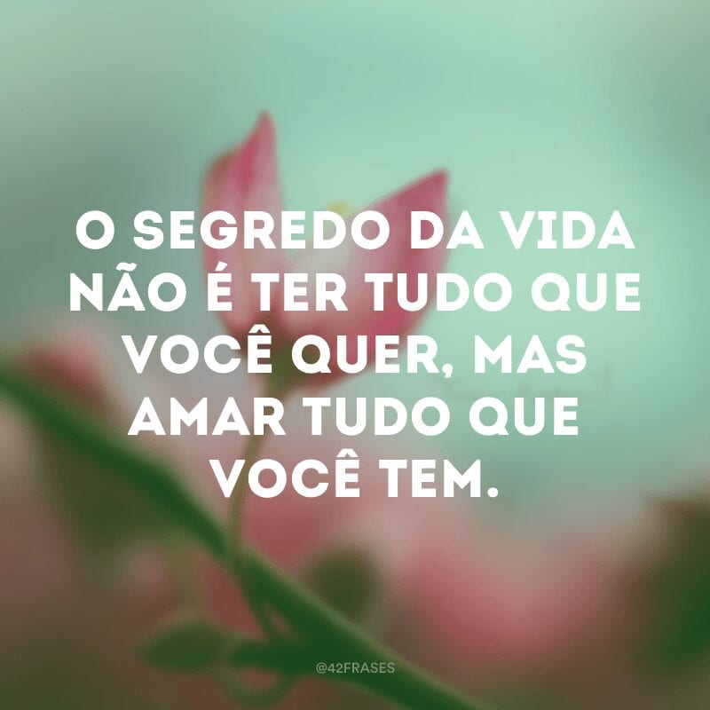 O segredo da vida não é ter tudo que você quer, mas amar tudo que você tem.