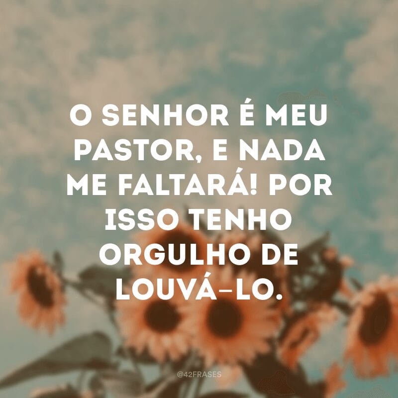 O Senhor é meu pastor, e nada me faltará! Por isso tenho orgulho de louvá-lo.