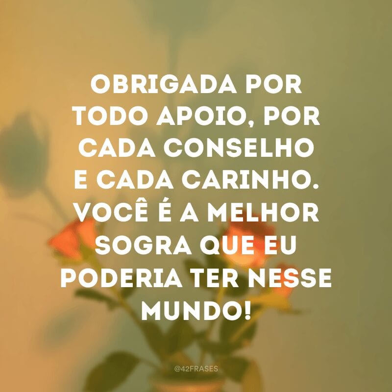 Obrigada por todo apoio, por cada conselho e cada carinho. Você é a melhor sogra que eu poderia ter nesse mundo!