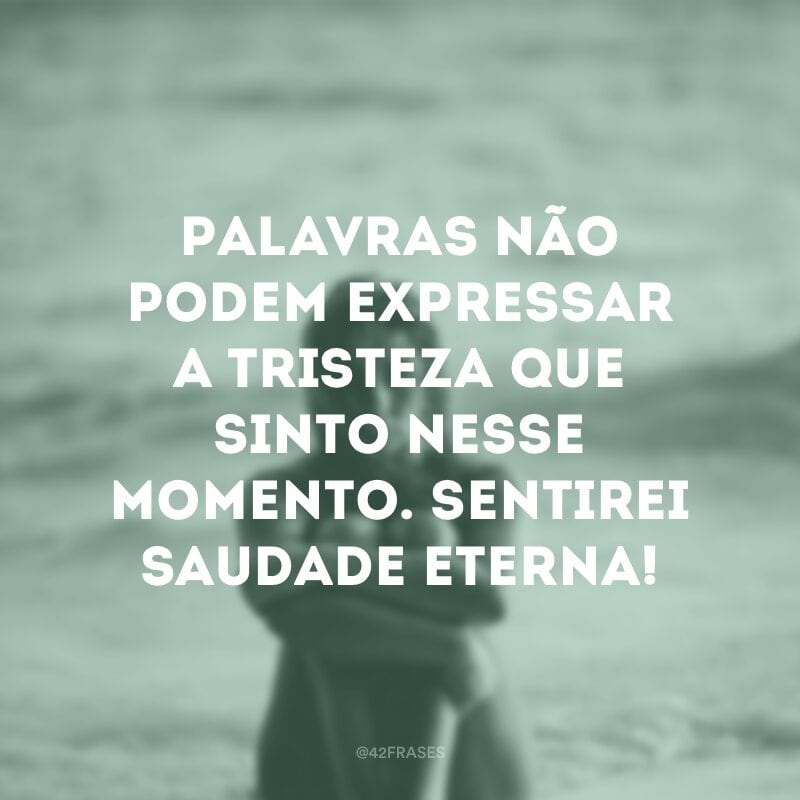 Palavras não podem expressar a tristeza que sinto nesse momento. Sentirei saudade eterna!