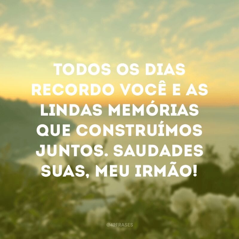 Todos os dias recordo você e as lindas memórias que construímos juntos. Saudades suas, meu irmão!