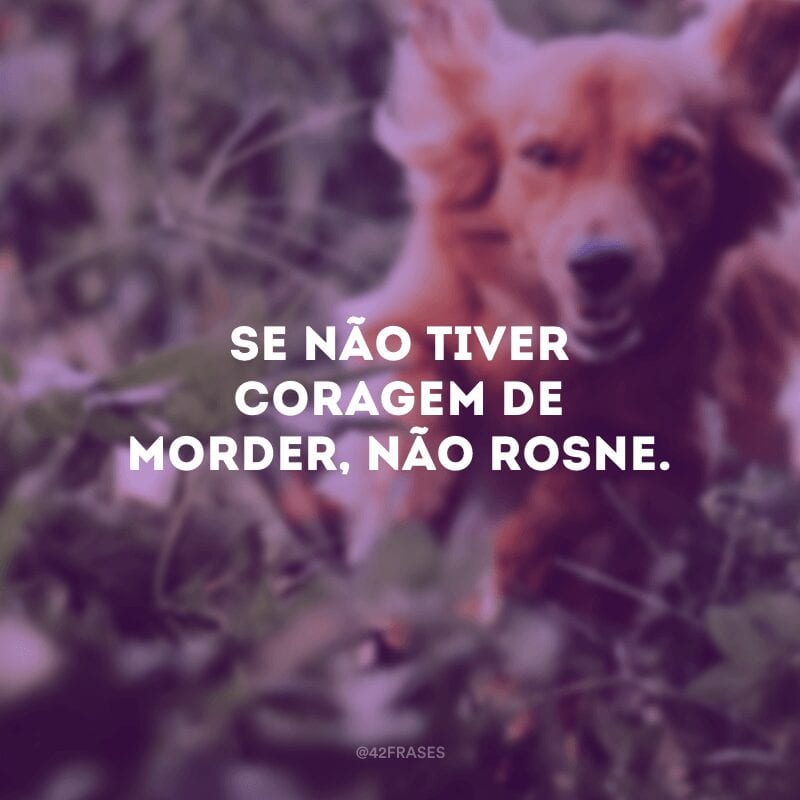 Se não tiver coragem de morder, não rosne.