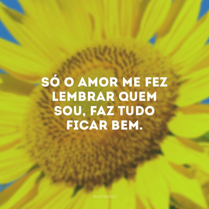 Só o amor me fez lembrar quem sou, faz tudo ficar bem. 