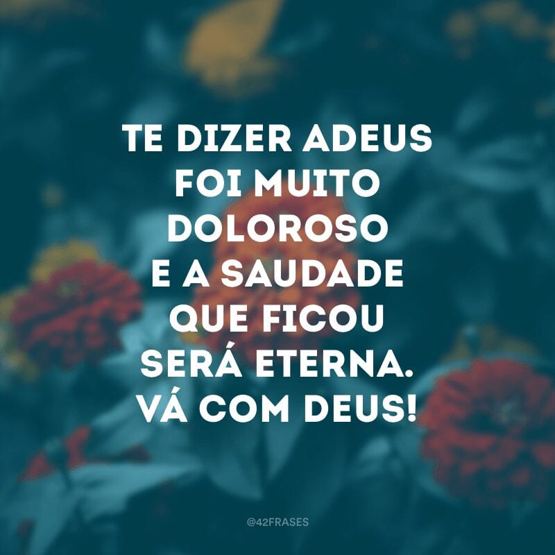 Te dizer adeus foi muito doloroso e a saudade que ficou será eterna. Vá com Deus!