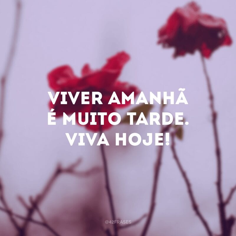 Viver amanhã é muito tarde. Viva hoje!