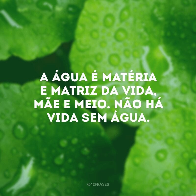 A água é matéria e matriz da vida, mãe e meio. Não há vida sem água.