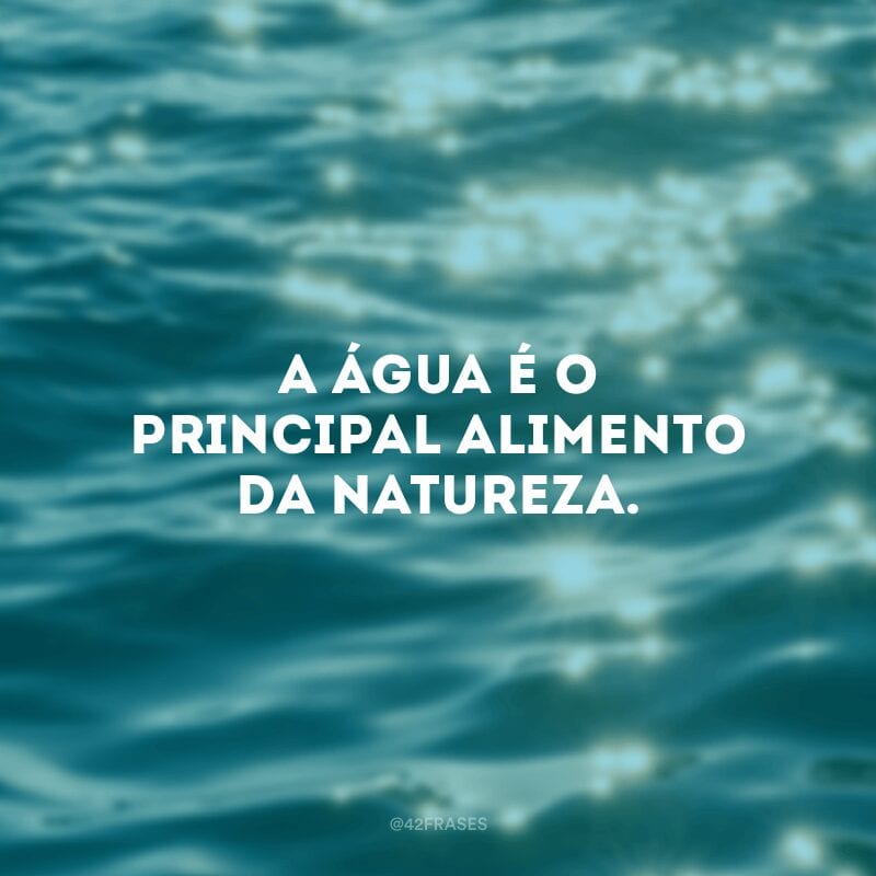 A água é o principal alimento da natureza.