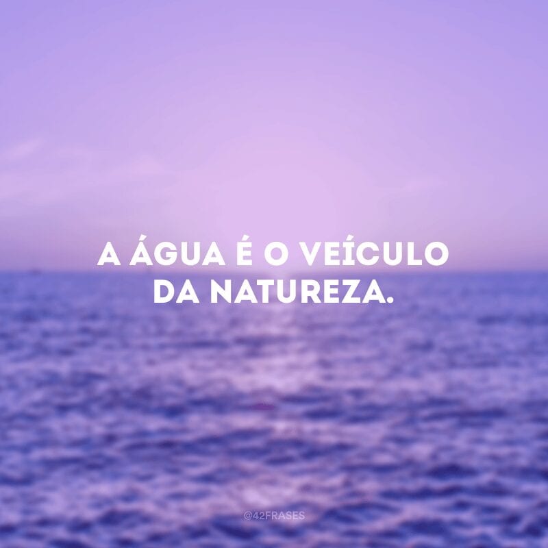 A água é o veículo da natureza. 