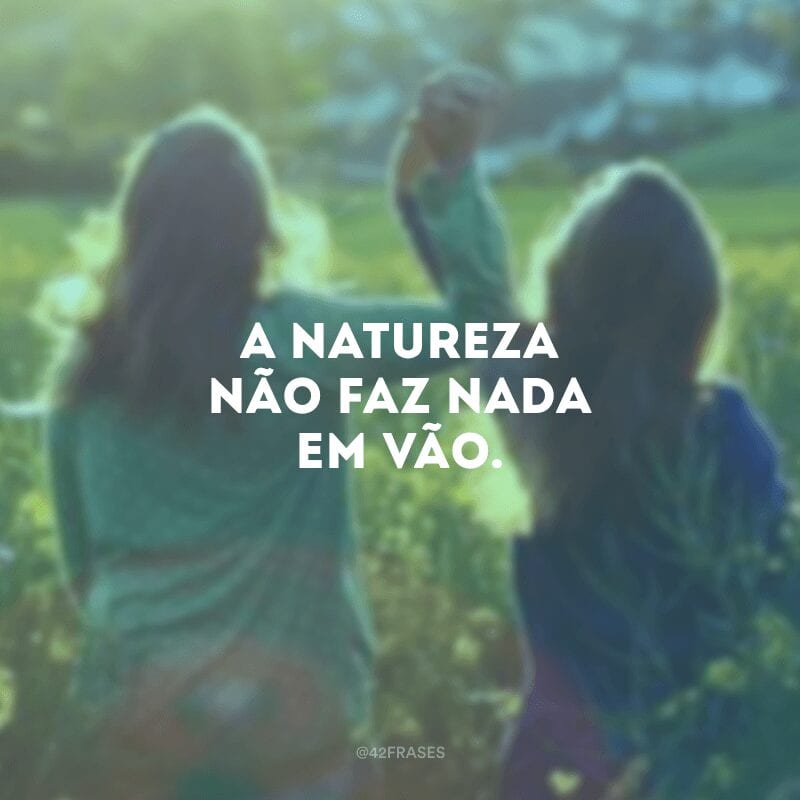 A natureza não faz nada em vão. 