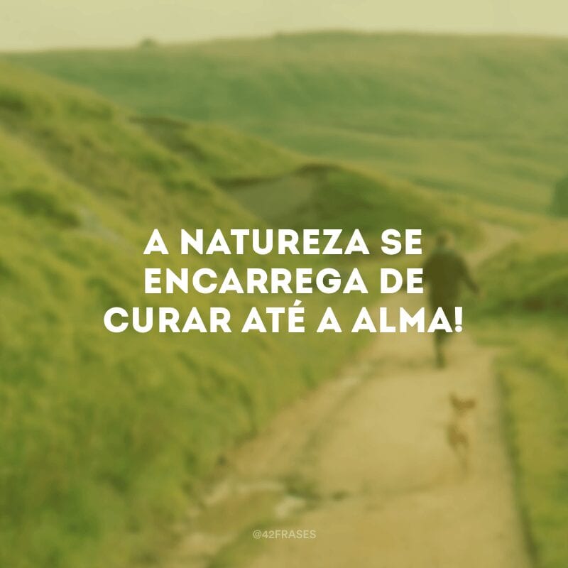 A natureza se encarrega de curar até a alma! 