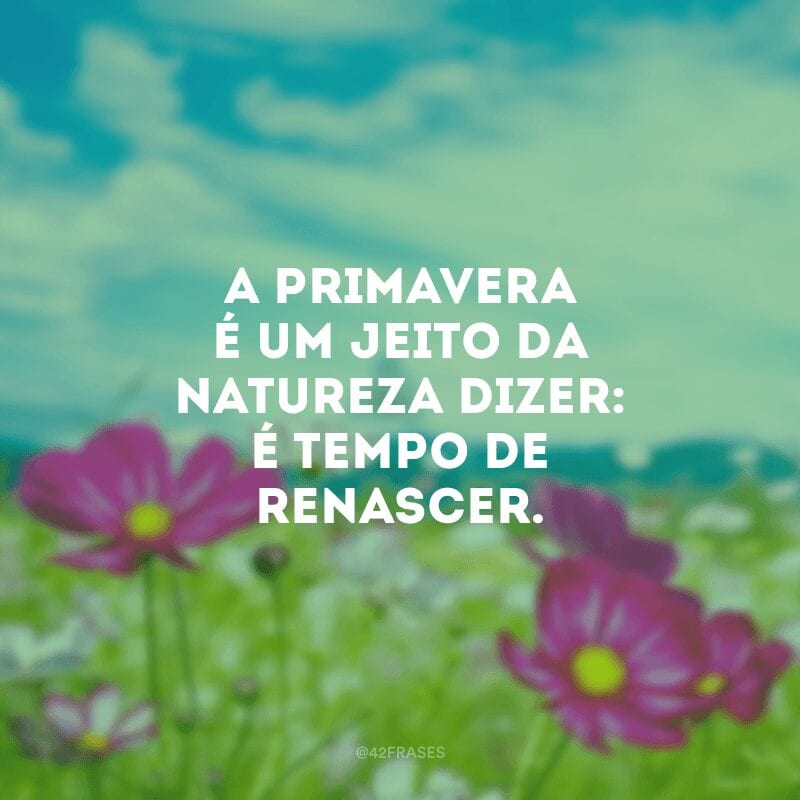 A primavera é um jeito da natureza dizer: é tempo de renascer.