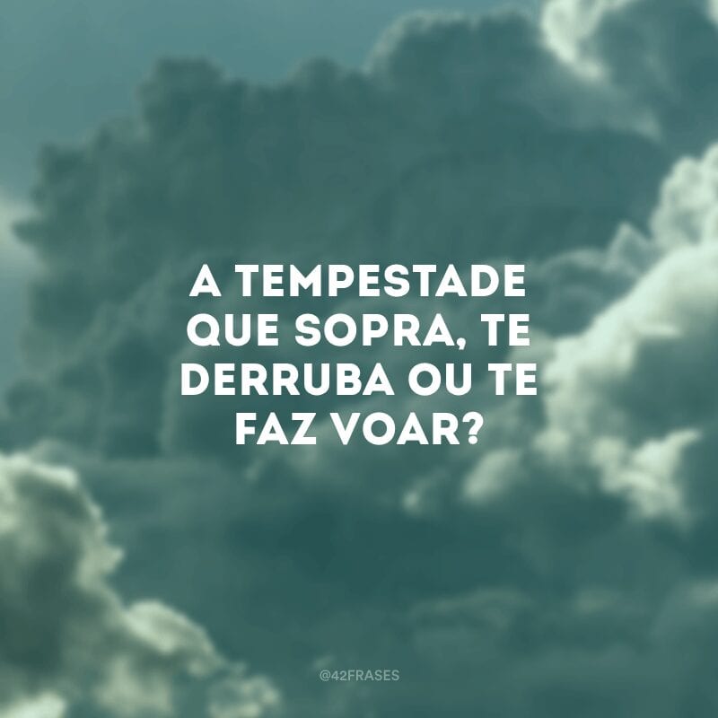 A tempestade que sopra, te derruba ou te faz voar?