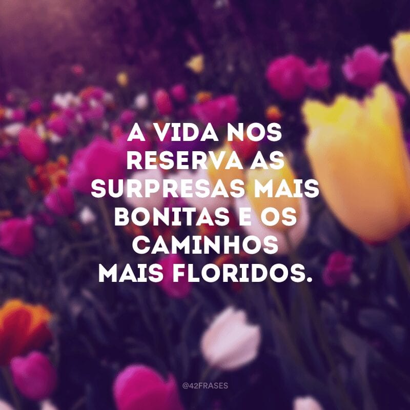 A vida nos reserva as surpresas mais bonitas e os caminhos mais floridos.