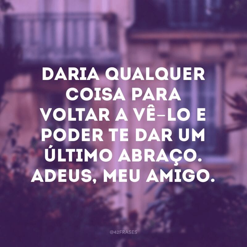 Daria qualquer coisa para voltar a vê-lo e poder te dar um último abraço. Adeus, meu amigo.