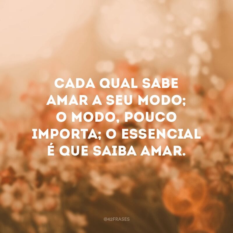 Cada qual sabe amar a seu modo; o modo, pouco importa; o essencial é que saiba amar.