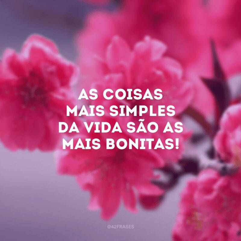 As coisas mais simples da vida são as mais bonitas!