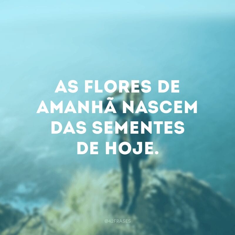 As flores de amanhã nascem das sementes de hoje.