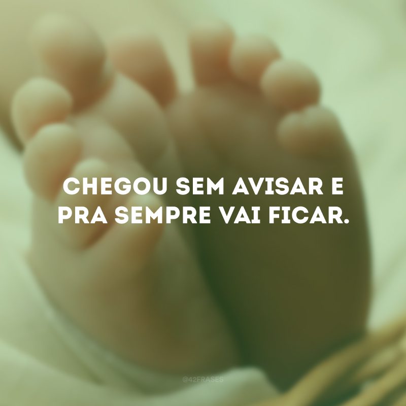 Chegou sem avisar e pra sempre vai ficar.