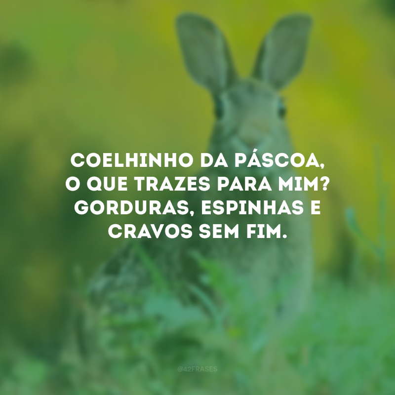 Coelhinho da Páscoa, o que trazes para mim? Gorduras, espinhas e cravos sem fim.