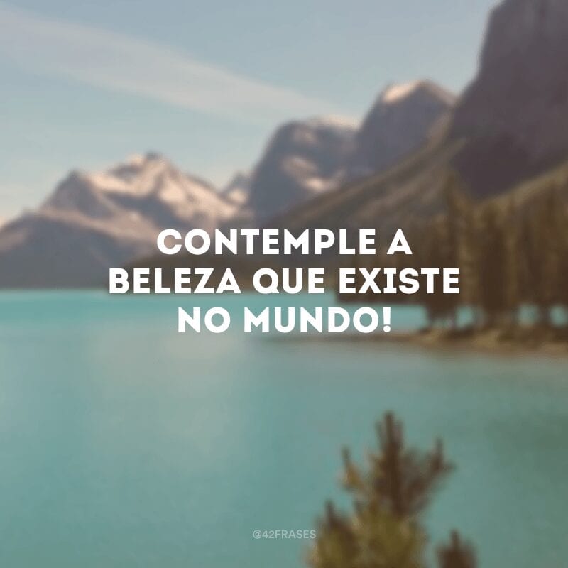 Contemple a beleza que existe no mundo!