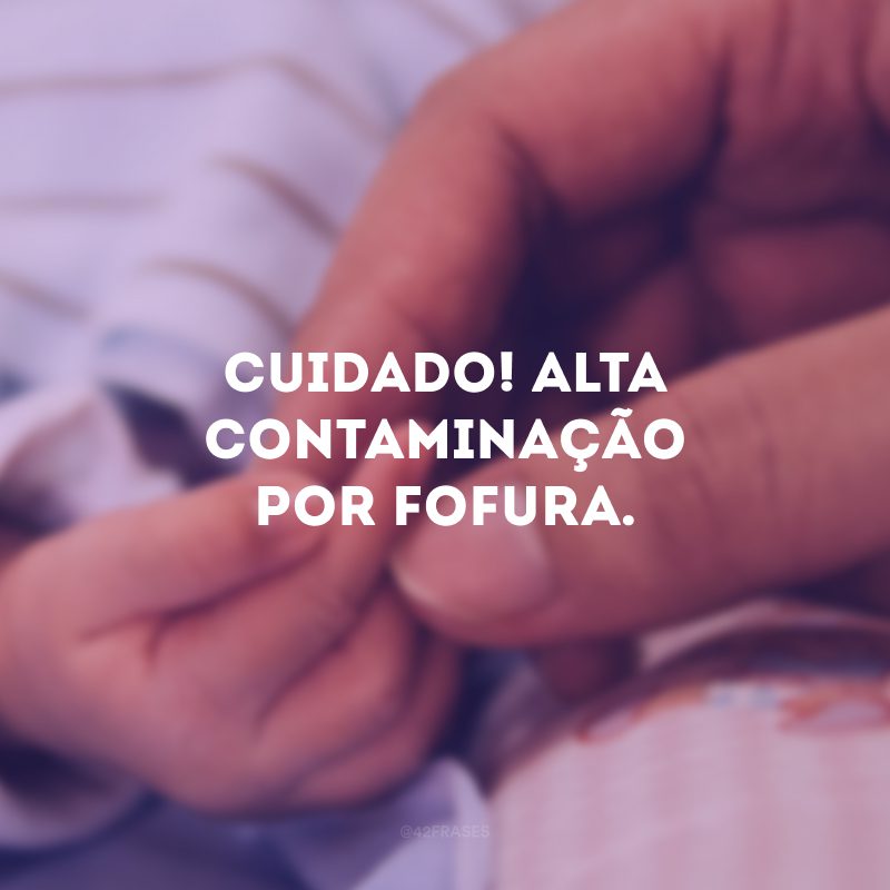 Cuidado! Alta contaminação por fofura.