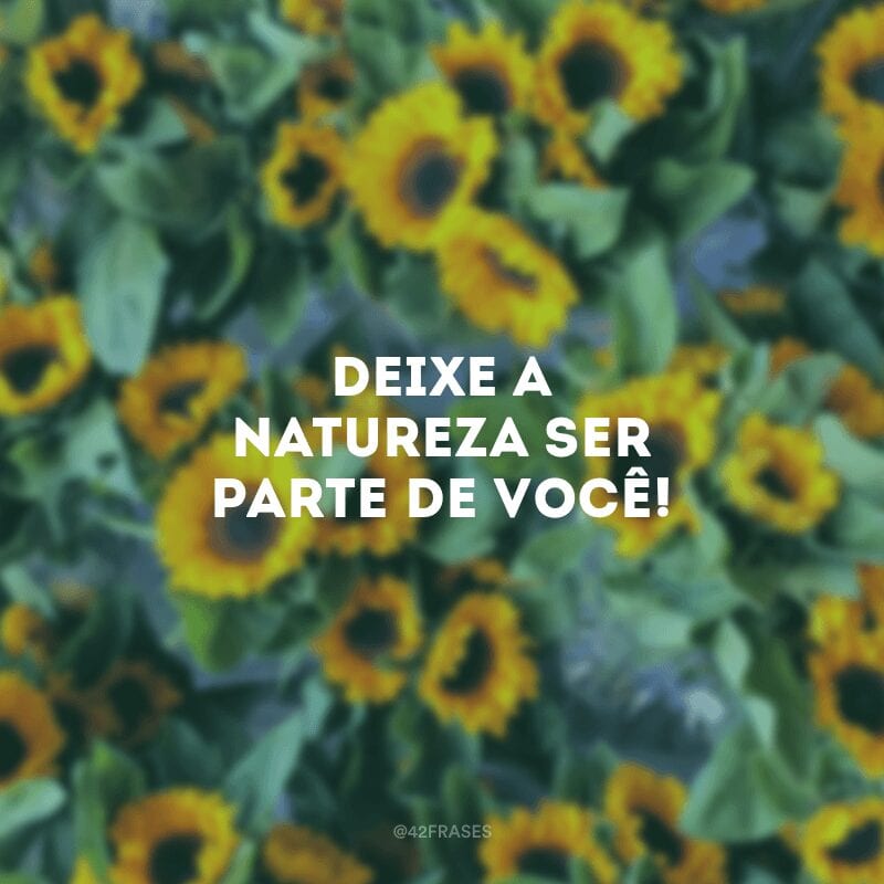 Deixe a natureza ser parte de você!