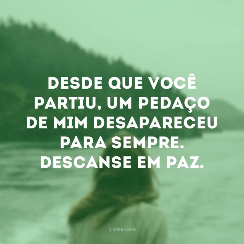 Desde que você partiu, um pedaço de mim desapareceu para sempre. Descanse em paz.