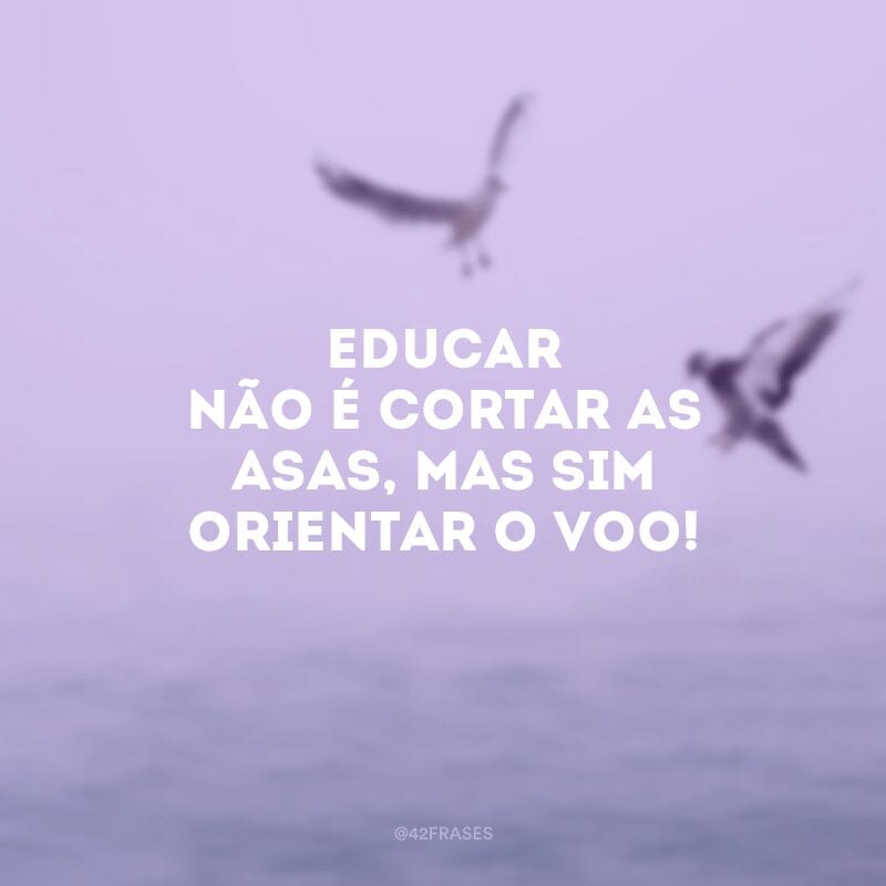 Educar não é cortar as asas, mas sim orientar o voo!