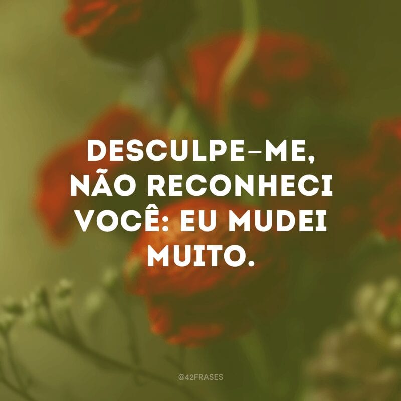 Desculpe-me, não reconheci você: eu mudei muito.