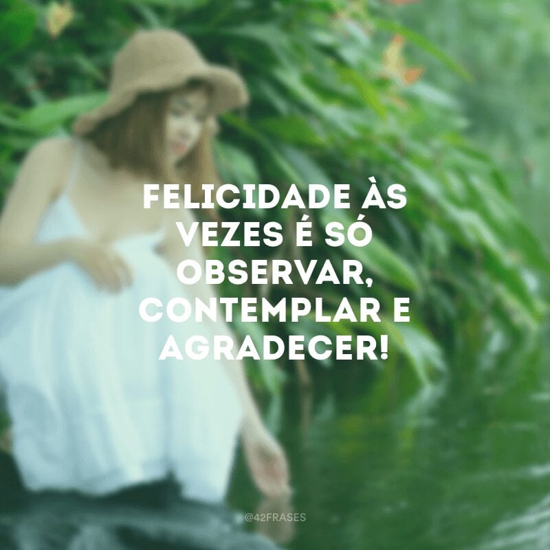 Felicidade às vezes é só observar, contemplar e agradecer!