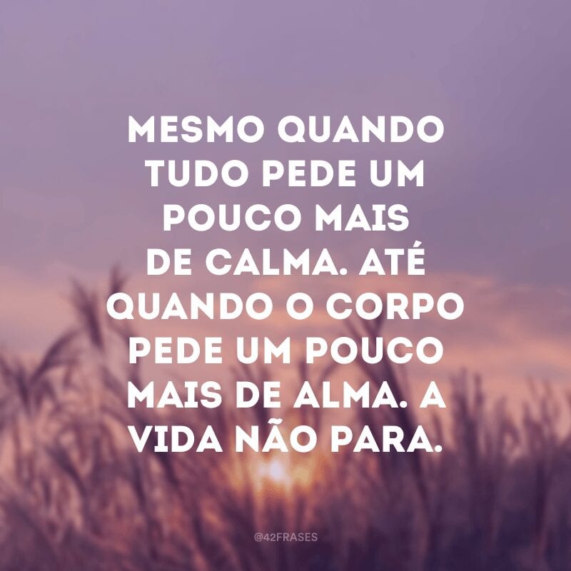 Mesmo quando tudo pede um pouco mais de calma. Até quando o corpo pede um pouco mais de alma. A vida não para.