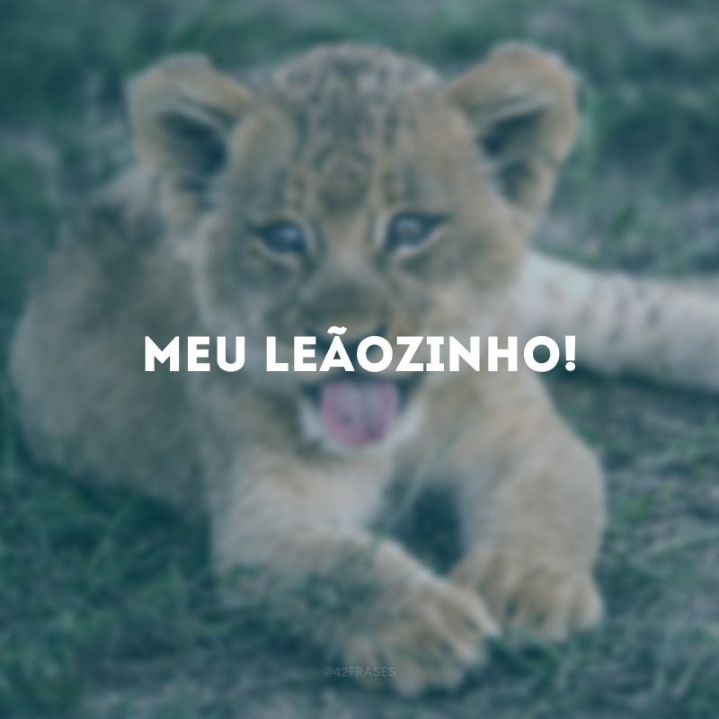 Meu leãozinho!