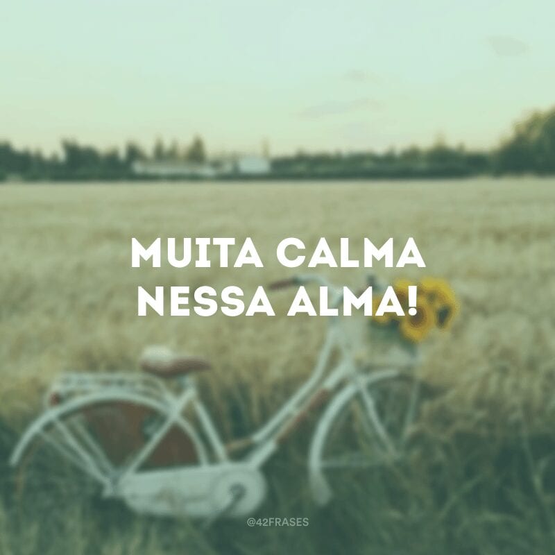 Muita calma nessa alma!