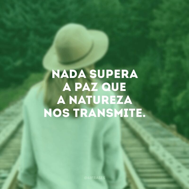 Nada supera a paz que a natureza nos transmite.