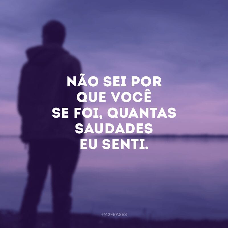 Não sei por que você se foi, quantas saudades eu senti. 