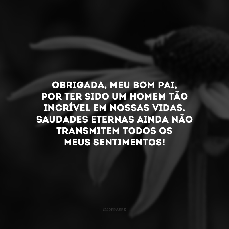 Obrigada, meu bom pai, por ter sido um homem tão incrível em nossas vidas. Saudades eternas ainda não transmitem todos os meus sentimentos!