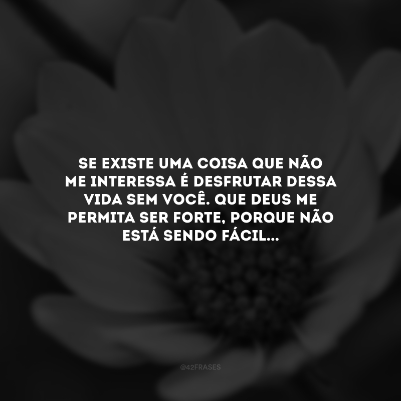 Se existe uma coisa que não me interessa é desfrutar dessa vida sem você. Que Deus me permita ser forte, porque não está sendo fácil...