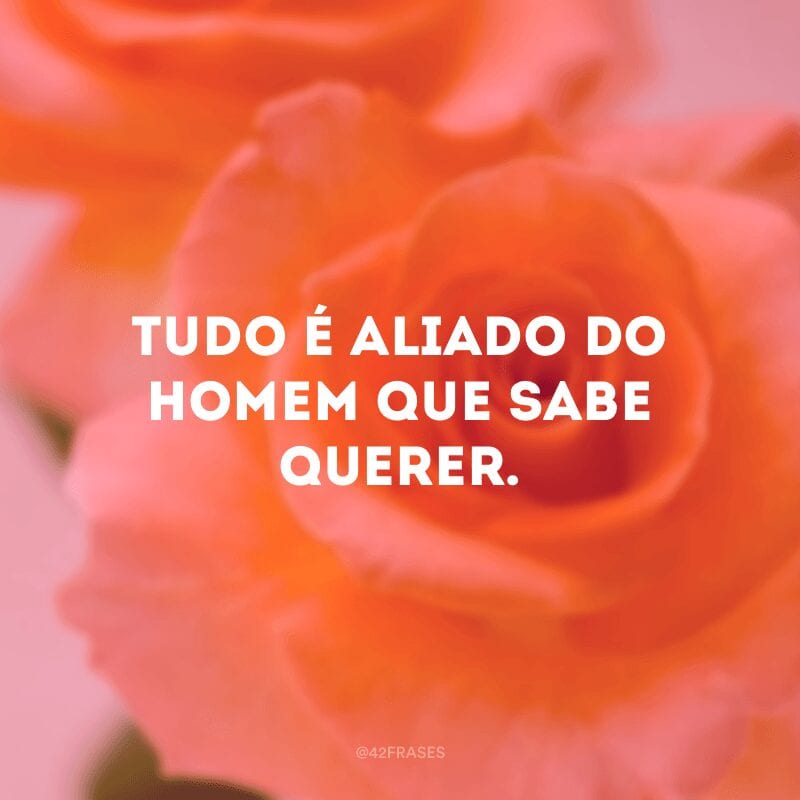 Tudo é aliado do homem que sabe querer.