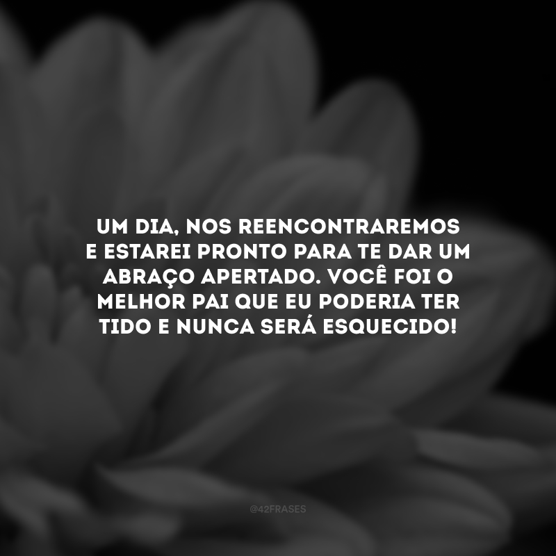 Um dia, nos reencontraremos e estarei pronto para te dar um abraço apertado. Você foi o melhor pai que eu poderia ter tido e nunca será esquecido!