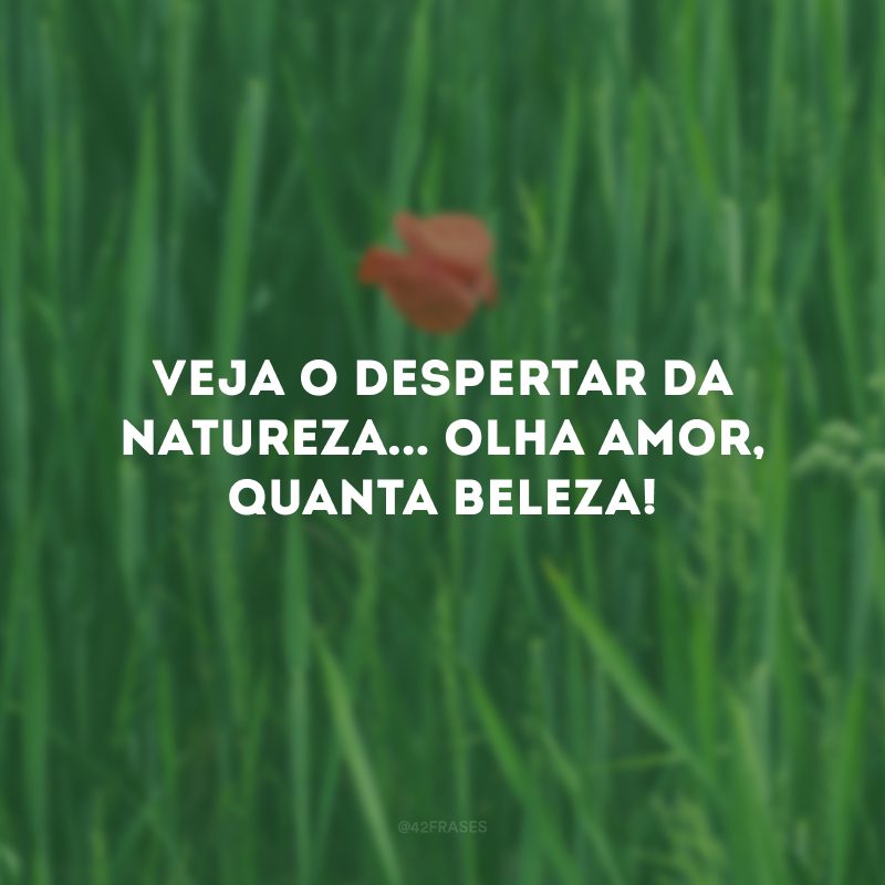 Veja o despertar da natureza... Olha amor, quanta beleza!