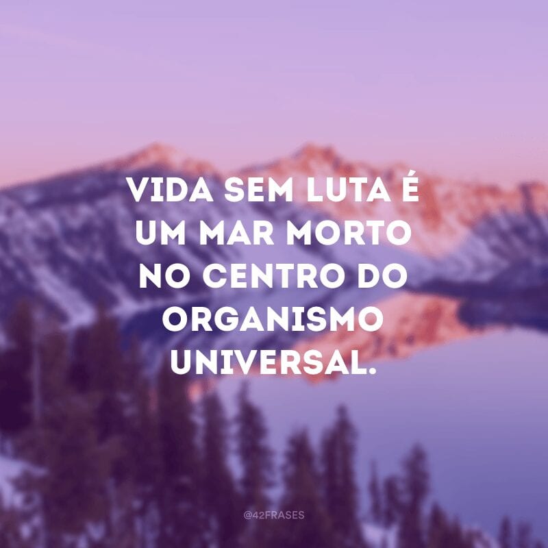 Vida sem luta é um mar morto no centro do organismo universal.