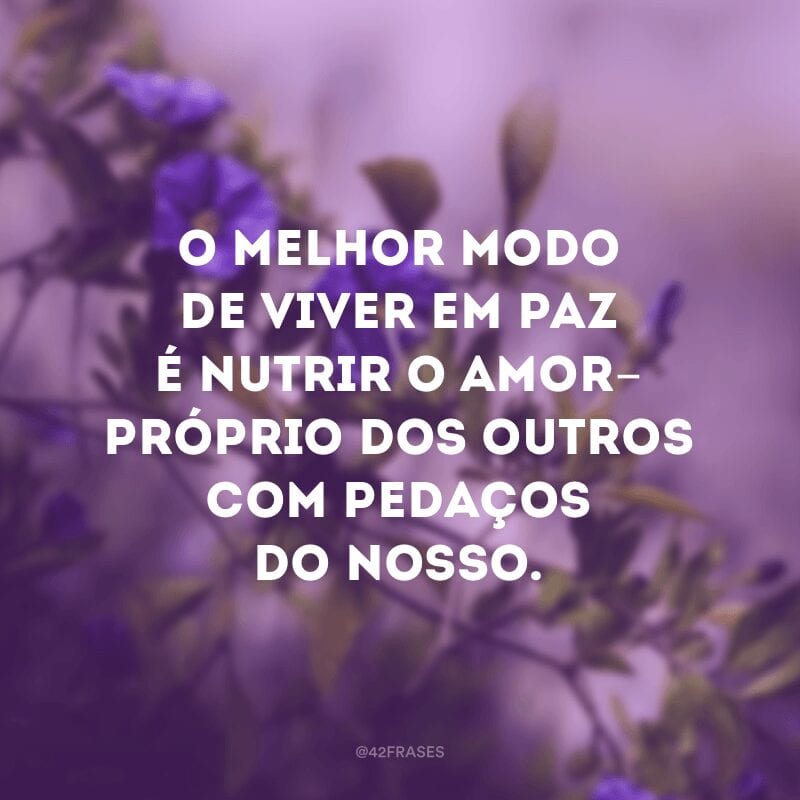 O melhor modo de viver em paz é nutrir o amor-próprio dos outros com pedaços do nosso.