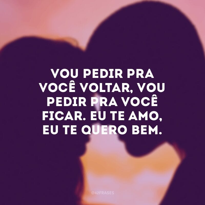 Vou pedir pra você voltar, vou pedir pra você ficar. Eu te amo, eu te quero bem.